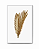 Quadro Decorativo Folha de Palmeira Gold Design Luxo - Imagem 6