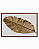 Quadro Decorativo Folha tropical Dourada Design Abstrato Monstera - Imagem 9