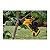 TESOURA DE PODA 20V 1.5" (3,81CM) DCPR320B DEWALT - Imagem 2