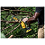 Eletrosserra de Poda 8" (20cm) 20V BRUSHLESS DCCS623B Dewalt - Imagem 2