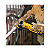 ESMERILHADEIRA 5" 20V MAX DCG412B DEWALT - SEM ACESSÓRIOS - Imagem 5