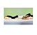 Posicionador Fluidizado P/ Paciente Acamado Z-Flo 64cmx91cm Z1 - Molnlycke - Imagem 3