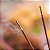 Incenso 7 Poderes Flute - Imagem 2