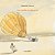 UM BALÃO NO DESERTO - Imagem 1