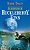 AS AVENTURAS DE HUCKLEBERRY FINN - VOL. 935 - Imagem 1
