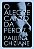 O ALEGRE CANTO DA PERDIZ - Imagem 1