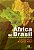 ÁFRICA NO BRASIL - Imagem 1