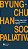 SOCIEDADE PALIATIVA - Imagem 1