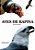 AVES DE RAPINA - Imagem 1