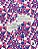 ONDA ROSA CHOQUE, A - Imagem 1
