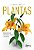 PLANTAS - Imagem 1