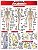 ANATOMIA - Imagem 1
