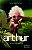 ARTHUR E OS MINIMOYS - VOL. 1 - Imagem 1