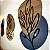 Trio Botânico Orgânico | Quadros Decorativos Modernos para Sala - Imagem 6