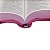 Bíblia Sagrada Letra Grande Linha Ouro Pink Ziper SBB - Imagem 3
