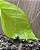 Gargantilha Mini Esfera 40 cm - Imagem 3