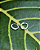 Brinco Argola P - Imagem 1