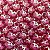 MANTA FLEECE 3D (GATINHO) - Imagem 1