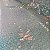 PAETE SEREIA - Imagem 3