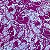 TECIDO VISCOSE ESTAMPADA (FLOR BRANCA FUNDO ROXO) - Imagem 1