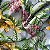VISCOSE SEDA PLUMA ESTAMPADA | 09 - Imagem 2
