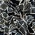 TECIDO VISCOSE DIGITAL | 1,50m LARG | 40 - Imagem 1