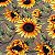 TRICOLINE ESTAMPADO DIGITAL | 1,50m X 0,50cm | GIRASSOL 2555 - Imagem 2