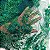 TULE BORADADO RENDA CORD METALIC | 1,30m | VERDE GREGO - Imagem 3