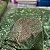 TULE EXPLOSÃO C/GLITTER | VERDE EXÉRCITO - Imagem 3