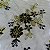 TULE BORADADO RENDA CORD FIO METALICO | 1,30m | Preto / Dourado - Imagem 3