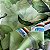 TECIDO CREPE BEGÔNIA SEDA DIGITAL | 1,47m | Floral Verde C/ Perola 04 - Imagem 4