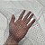 Tule Glitter Explosão Constelação - 1,50m - Branco - Imagem 3