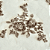 Tecido Renda Tule Bordado Com Pedraria Premium - 1,20m - Seonh Ouro 7223-02 - Imagem 5
