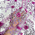 Tule Glitter Floral 3D Bordado - 100% Poliéster  1,30m 250g/m² - Rosa RO-3 D#12 - Imagem 5