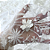 Tule Glitter Floral 3D Bordado LULU - 100% Poliéster  1,30m 250g/m² - Branco BR-1 - Imagem 5