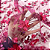 Tule Glitter Floral 3D Bordado LULU - 100% Poliéster  1,30m 250g/m² - Rosa Pink Ro-3 - Imagem 4