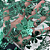 Tule Glitter Floral 3D Bordado LULU - 100% Poliéster  1,30m 250g/m² - Verde Esmeralda VD-15 - Imagem 5