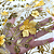 Tule Glitter Floral 3D Bordado LULU - 100% Poliéster  1,30m 250g/m² - Dourado AM-3 - Imagem 5