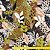 Malha Liganete Estampada - 1m X 1,60m - 544 Preto - Imagem 4