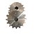 Engrenagem Simples Inox 304 ASA 60 16Z - Imagem 2