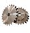 Engrenagem Simples Inox 304 ASA 80 23Z - Imagem 2