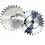 Engrenagem Simples ANSI 80 29Z - Imagem 1