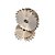 Engrenagem Simples Inox 304 ASA 40 23Z - Imagem 1