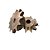 Engrenagem Simples Inox 304 ASA 80 12Z - Imagem 2