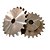 Engrenagem Simples Inox 304 ASA 80 22Z - Imagem 2