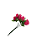 Buquê de Rosas - Imagem 1