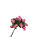 Buquê de Rosas - Imagem 2