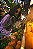 Casaco Serenity - Imagem 9