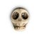 Firma Caveira G - Imagem 1