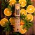 Incenso Sagrada Madre- Citronela Laranja e Palo Santo - Imagem 2